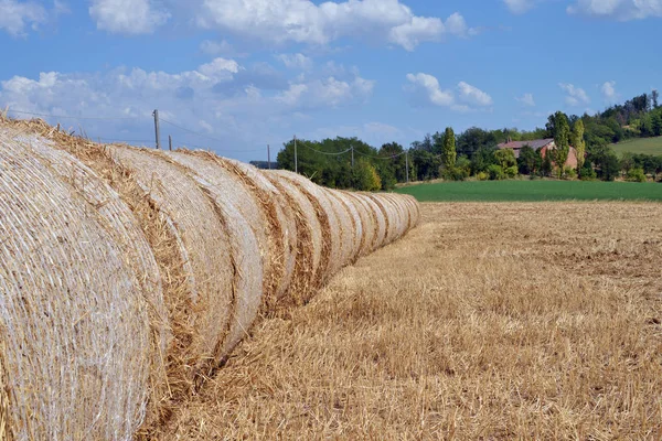 Straw bales in the middle of the field — Stock Photo, Image