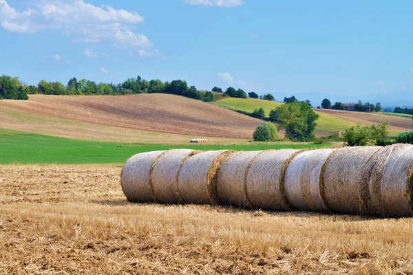 Straw bales in the middle of the field — Stock Photo, Image