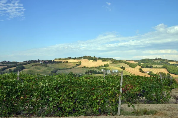 Paisagem rural. Monferrato, Piemonte, Itália — Fotografia de Stock