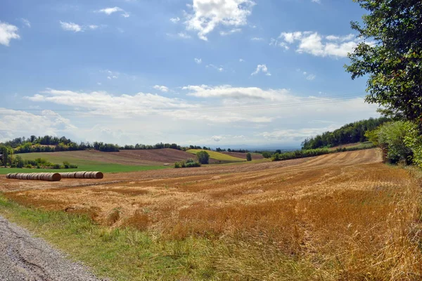 Kırsal manzara. Monferrato, Piedmont, İtalya — Stok fotoğraf