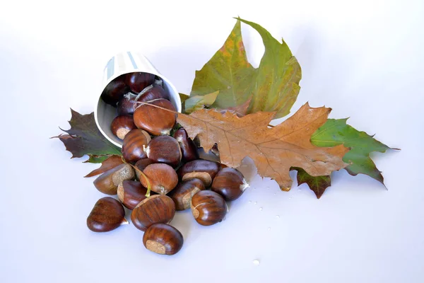 秋のフルーツ、栗、ブドウ — ストック写真