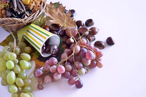 Herbstfrüchte, Kastanien und Trauben — Stockfoto