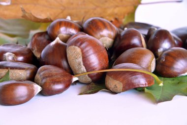 sonbahar meyve, kestane ve üzüm 