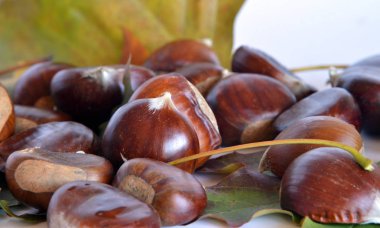 sonbahar meyve, kestane ve üzüm 
