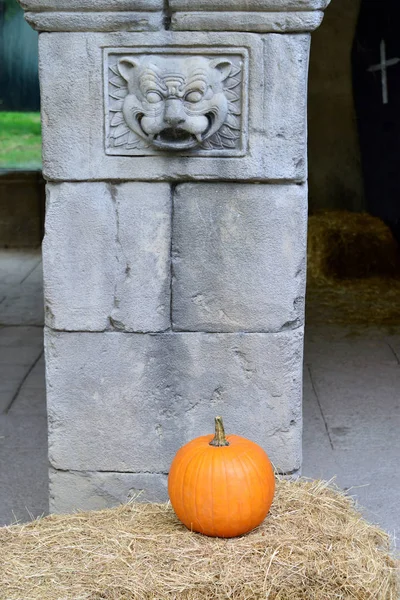 Ein Halloween-Kürbis — Stockfoto