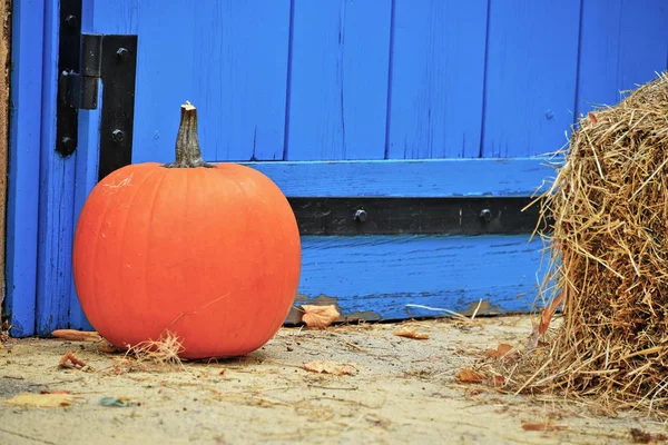 Uma abóbora de Halloween Fotos De Bancos De Imagens