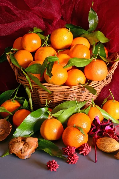 Tangerines. still life — Stock Photo, Image