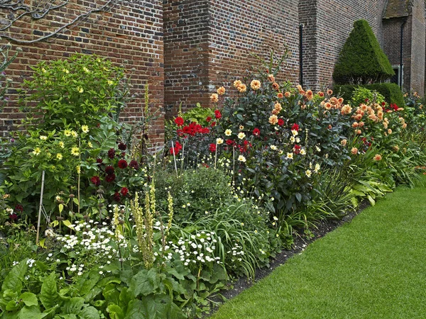 Uma borda de flores coloridas afundadas de Dahlias, incluindo Dahlia 'Fascination' em um jardim de verão — Fotografia de Stock