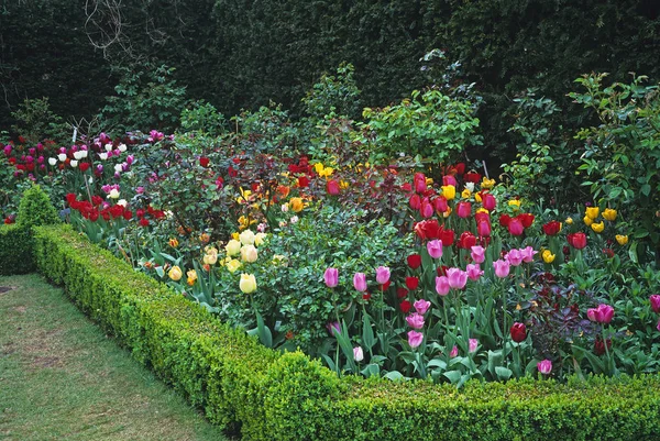 Barevné jarní květinové hranice tulipánů v zahradě Counry House — Stock fotografie