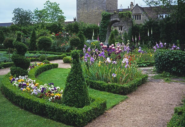Bordures de fleurs colorées de l'iris barbu et des pansies de violas et topiaire dans un Country House Gardens — Photo