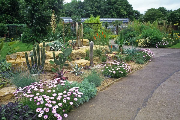 Un jardín de cactus seco en un jardín de cotswold y un parque de vida silvestre — Foto de Stock
