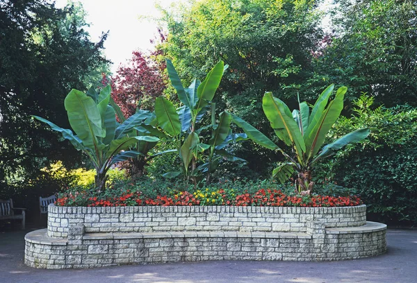 A large brick container with Exotic banana plants and Impatiens — Stock Photo, Image