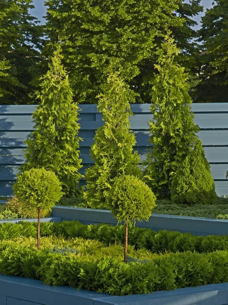 Conifères et exposition topiaire dans une bordure surélevée dans un jardin d'exposition — Photo