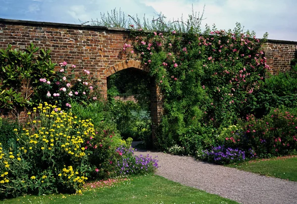 Un jardín amurallado con rosas trepadoras y un borde de flores en una casa de campo —  Fotos de Stock