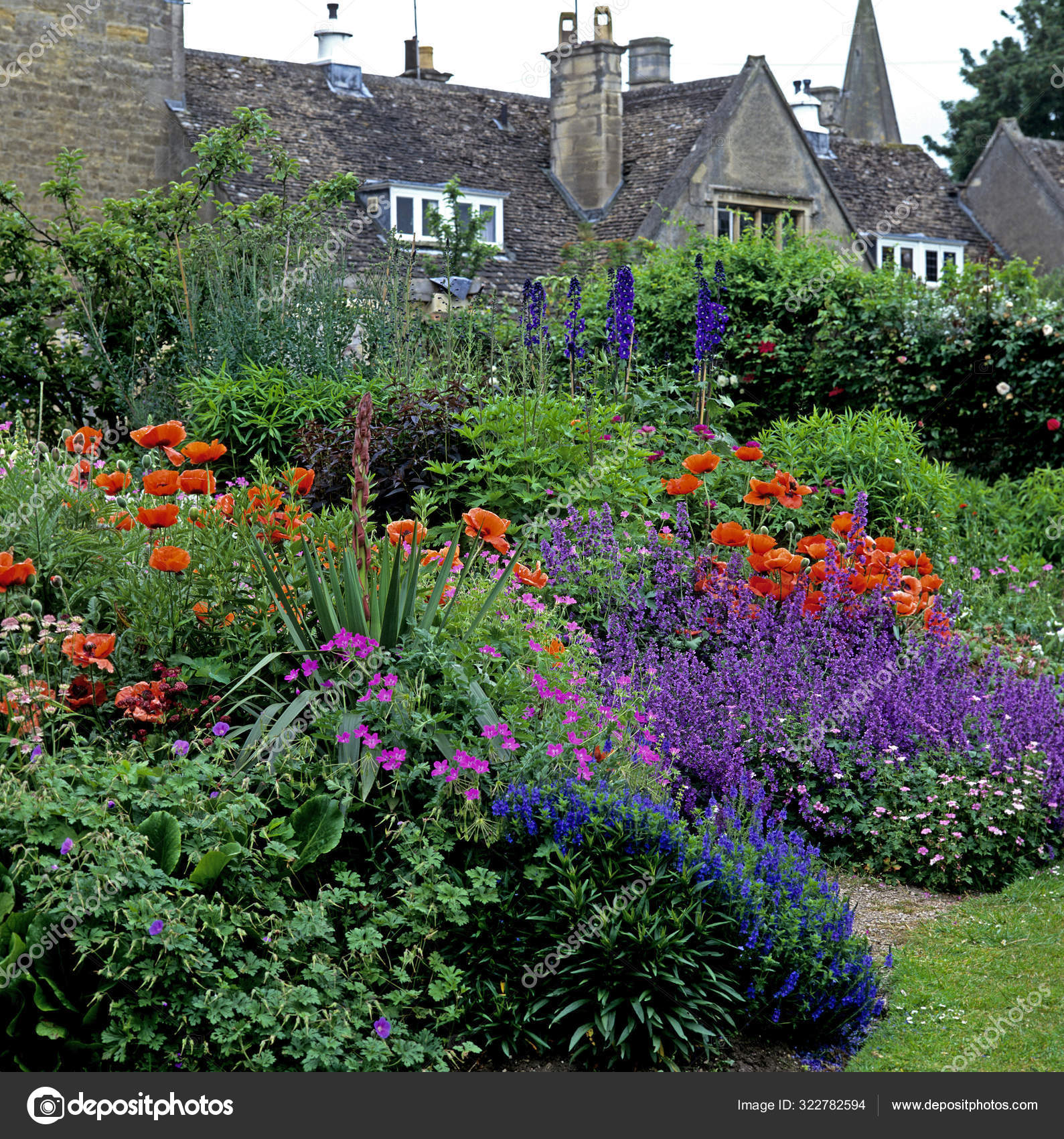 동양의 양귀비 , 네 피카 , 델피 니 움 , 게르 파니 움 이 있는 시골 정원의 다채 로운 여름 국경 — 스톡 사진 ©  gardenguru #322782594