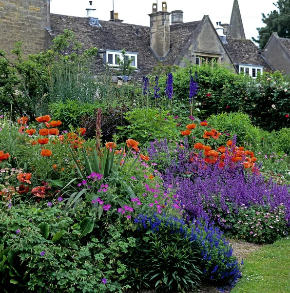 Fronteira colorida do verão em um jardim da casa de campo com papoilas orientais, Nepeta, Delphiniums e Geraniums — Fotografia de Stock