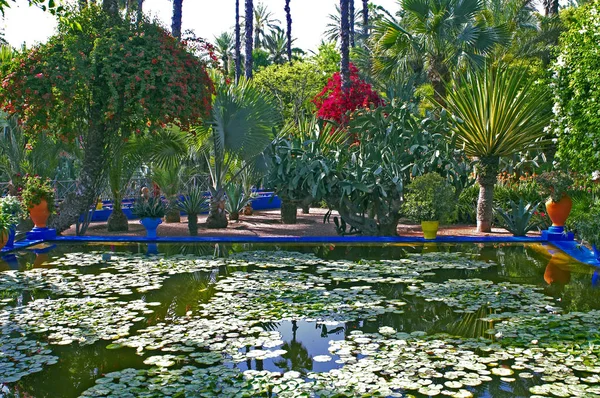 La vista de un jardín en Marrakech con palmeras y nenúfares — Foto de Stock