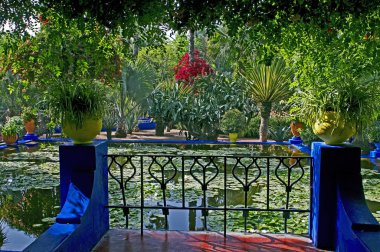 The view of a garden  in Marrakech with palms and waterlillies clipart