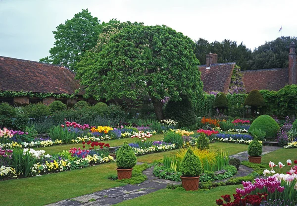 Warna-warni Tulip batas musim semi dan tampilan di kebun rumah negara — Stok Foto