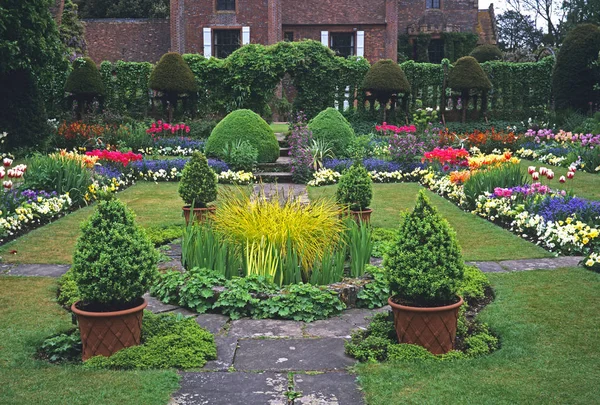 As coloridas bordas da fonte Tulip e exibição em um jardim de casa de campo — Fotografia de Stock