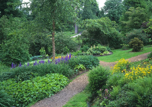花や植物のあるカラフルな森の庭 — ストック写真