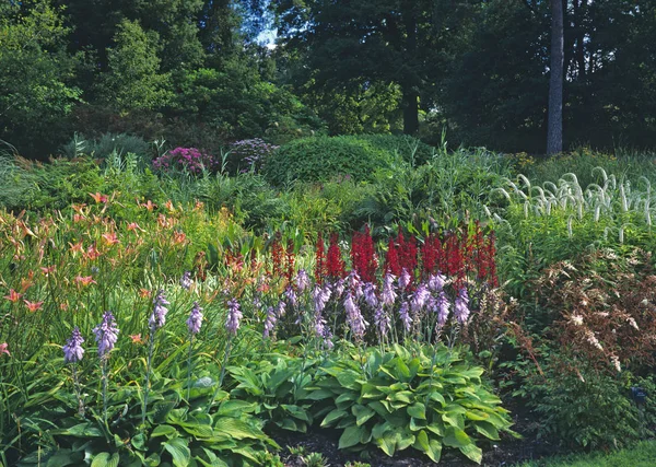En färgglad myrträdgård med blandad plantering av blommor och Hostas i början av sommaren — Stockfoto
