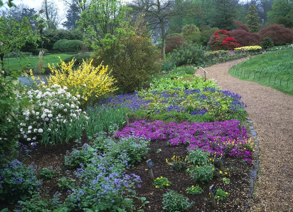 Una colorida muestra de flores primaverales en un jardín forestal — Foto de Stock