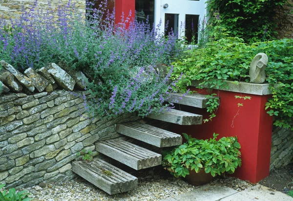 带有木制台阶和薄荷的花园特色墙 — 图库照片