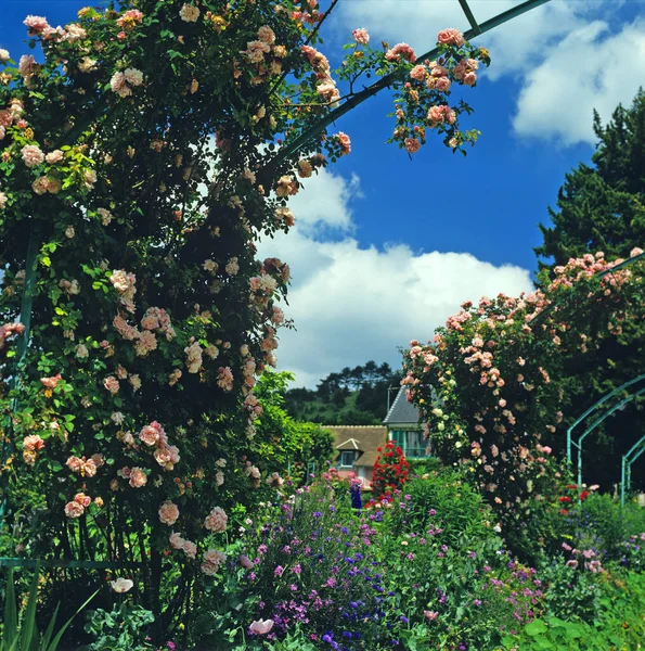 Arcos Rosas Jardín Principios Verano Jardín Claude Monet Giverny — Foto de Stock