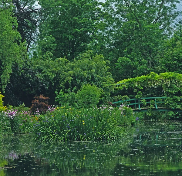 Lalelerin Bir Bahar Çiçeği Sınırını Kapatın Giverny Claude Monets Bahçesi — Stok fotoğraf