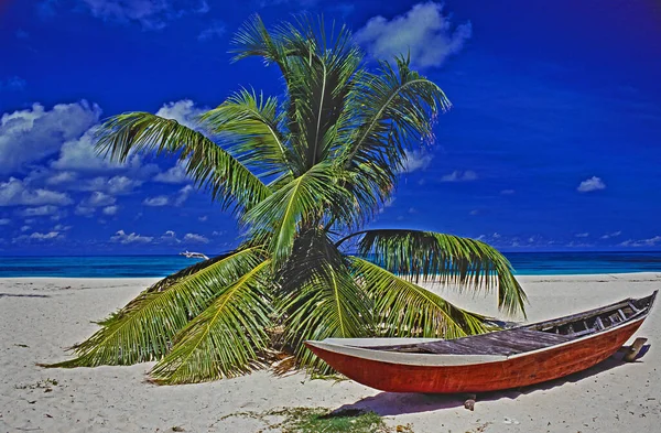 Пляж Пальмовой Ветвью Маленькой Лодкой Сейшелах — стоковое фото