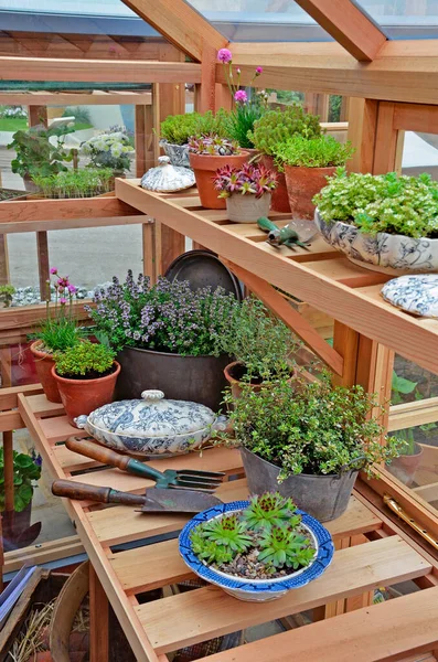 stock image Interior of a garden potting shed with herbs, tools and containers