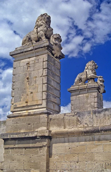 Szczegóły Starego Rzymskiego Mostu Nad Rodanem Arles Provence Południe Francji — Zdjęcie stockowe