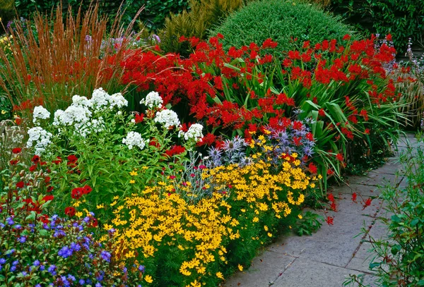 Vibrant Colourful Mixed Planted Flower Border Country Garde — Stock Photo, Image
