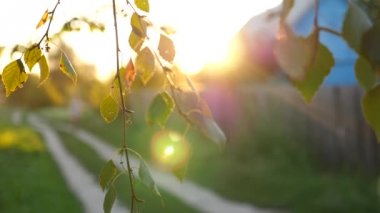 Güzel kız bisiklet sürmek