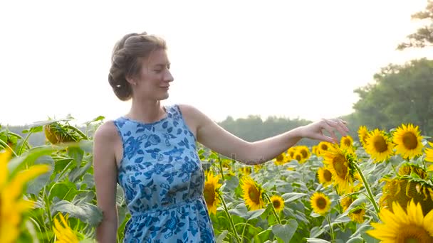 Meisje raakt de bloemblaadjes van een zonnebloem — Stockvideo