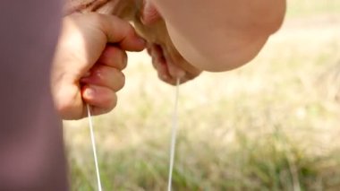 Sütçü süt süt çiftliğinde inek.