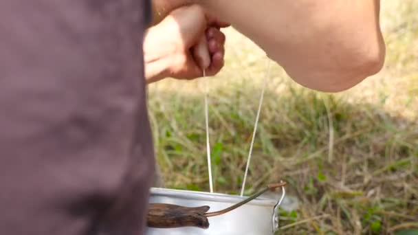 여자 농장에서 암소를 젖을 짜기 — 비디오