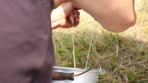 Woman milking a cow at farm — Stock Video