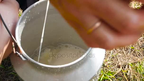 수동 우유 암소를 젖을 짜기의 과정 — 비디오