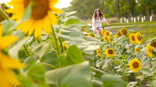 Bella signora va in bicicletta al campo di girasole — Video Stock