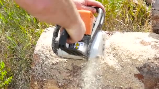 Ağır çekimde chainsaw ile ahşap ile kesme — Stok video