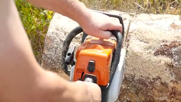 Cutting through wood with chainsaw — Stock Video