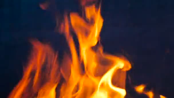 Bright orange camp fire closeup — Stock Video