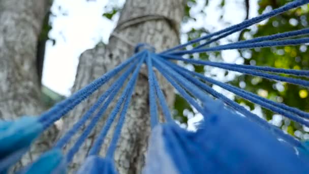 Крупним планом блакитний гамак гойдається на дереві — стокове відео