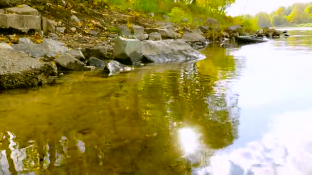 Ufer mit Steinen und Gras. ruhige Wasseroberfläche — Stockvideo