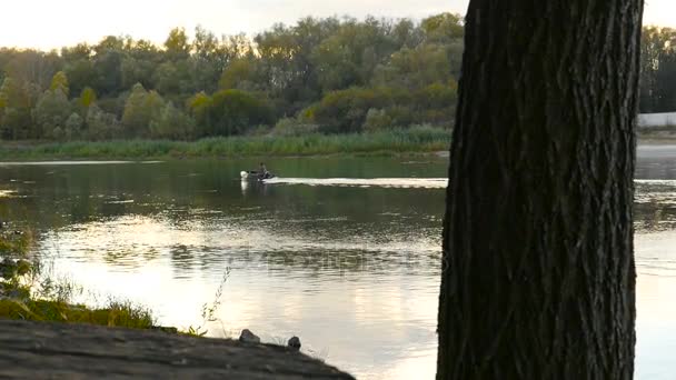 Человек в моторной лодке на реке — стоковое видео