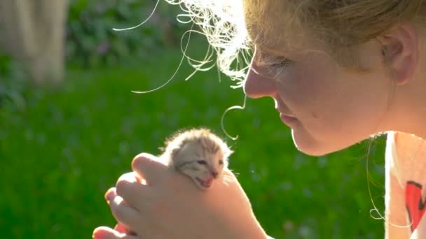 Fille prend dans ses mains petit chaton nouveau-né — Video