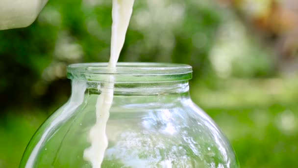 Nalévá mléko do skleněné nádoby venkovní. Detailní záběr — Stock video