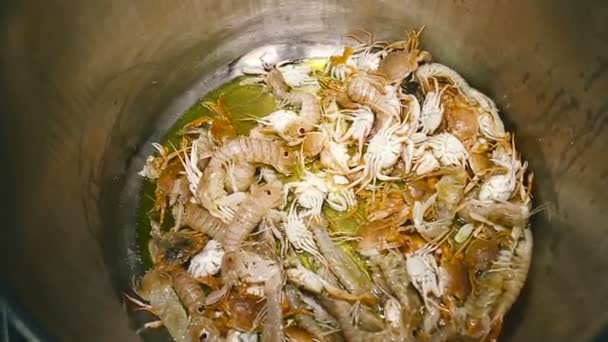 Frying of different seafood in big saucepan. Close up — Stock Video